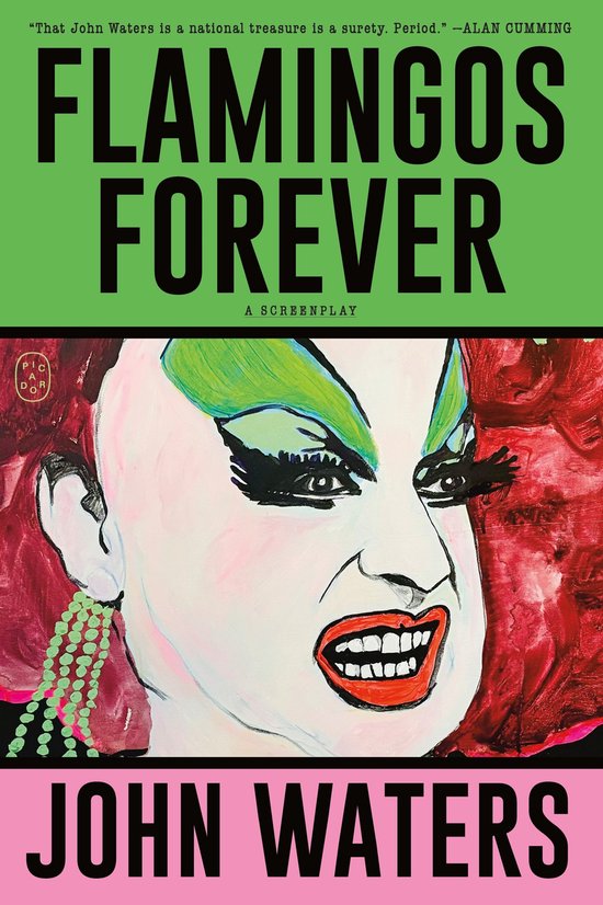 Boekomslag met de titel "Flamingos Forever" en een illustratie van een persoon met felgroene oogschaduw en rode lippen.