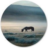 Paard in mistig veld - Paard muurcirkel - Ronde muurdecoratie dier - Realistische kunst - Unieke dibond muurcirkel - Moderne muurkunst - muurcirkel aluminium 40x40 cm