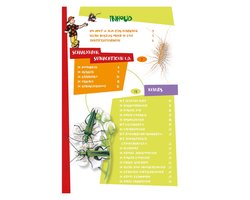 De leukste insectengids voor kids