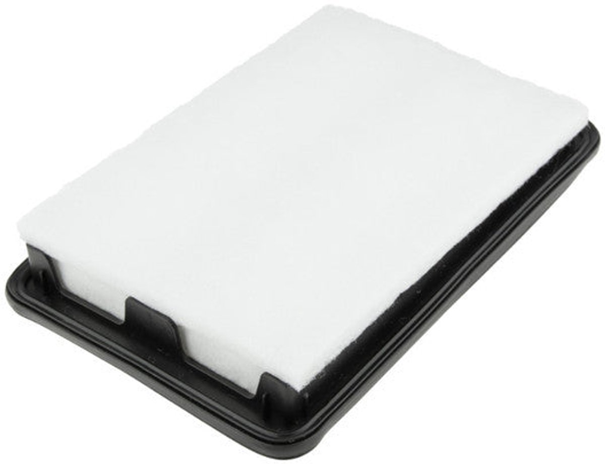 Luchtfilter OEM 165464EA0C
