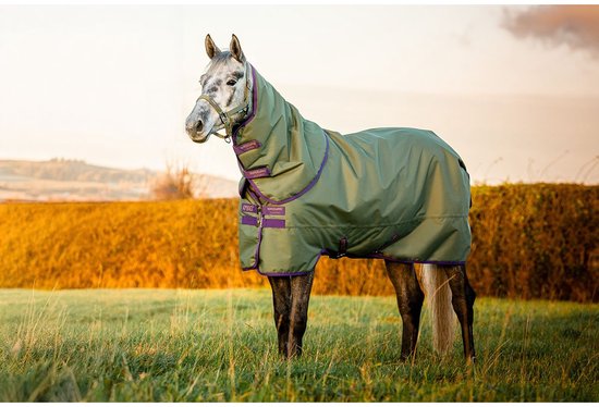 Horseware Amigo Hero Ripstop Plus Turnout 100g Light 140/190/6.3 Bramble/Winterberry