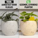 Vergelijking van twee plantenpotten. Links: een aangetaste plant met vliegjes. Rechts: een gezonde, levendige plant met een gele, bloemvormige vliegenvanger.