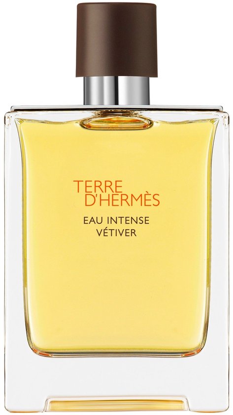 Hermes Terre d'Hermès Eau Intense Vétiver 100 ml - Eau de Parfum - Herenparfum