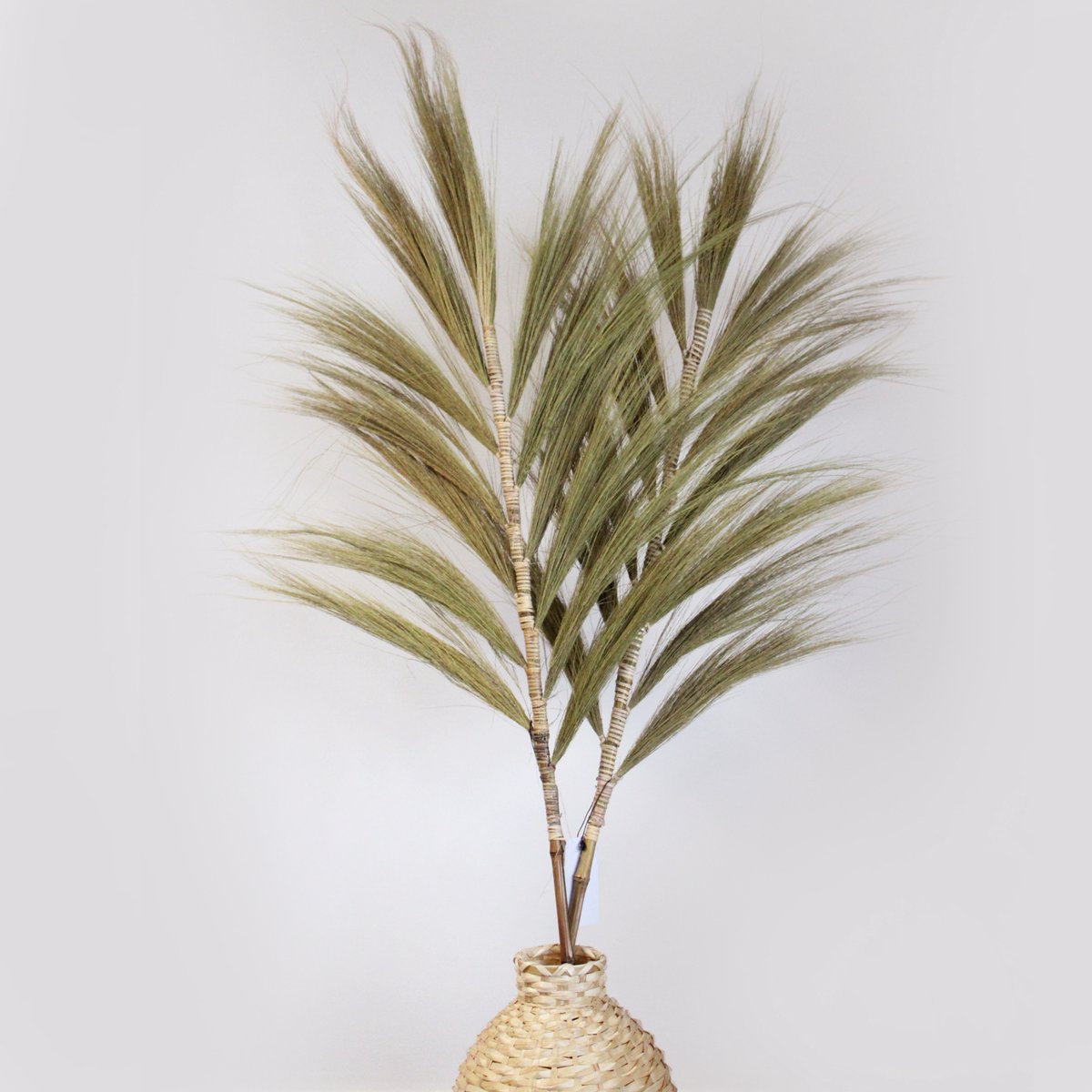 Rayung Gras Pluimen Naturel - 3 Stuks - Decoratieve Pluimen - 1.6m - Handgemaakt