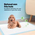 Un chiot brun clair est allongé sur un tapis d'apprentissage pour chiots bleu et blanc. Fond bleu avec des bulles et des feuilles.