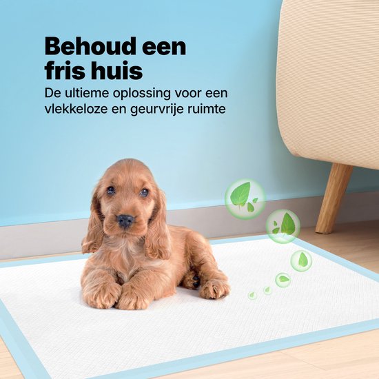 Un chiot brun clair est allongé sur un tapis d'apprentissage pour chiots bleu et blanc. Fond bleu avec des bulles et des feuilles.