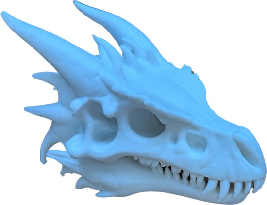 Indrukwekkende Draken Schedel Decoratie