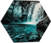 Dibond Hexagon - Water - Waterval - Takken - Stenen - Blauw - 40x34.8 cm Foto op Hexagon (Met Ophangsysteem)