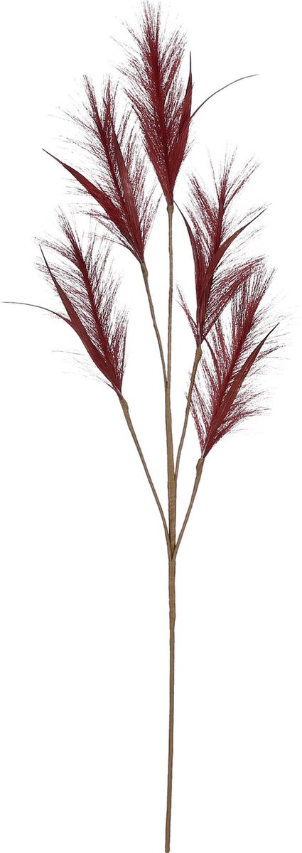 House of Seasons pluimgras losse steel/tak - meerdere stengels - bordeaux - 98 cm - Decoratie kunst bloemen