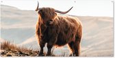 Affiche clôture Scottish Highlander - Animaux - Rural - Paysage - Vache - Nature - 200x100 cm - Toile jardin
