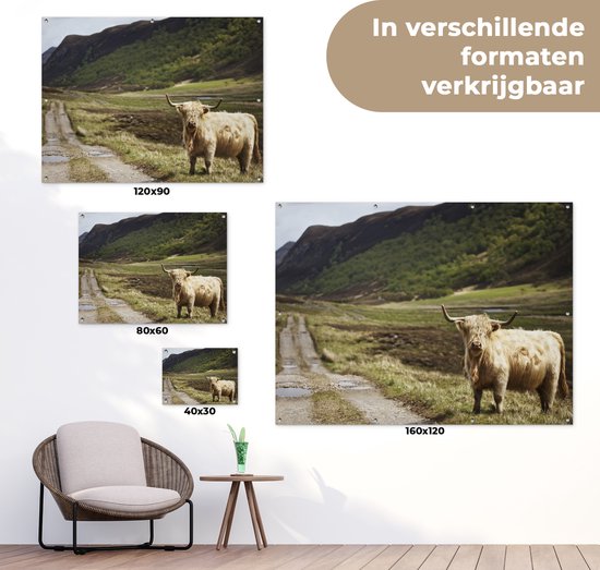 Highlander écossais sur un chemin dans un paysage, présenté dans différentes tailles : 120x90, 80x60, 40x30 et 160x120 cm.
