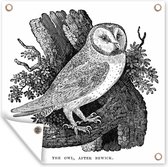 Illustration réaliste d'une affiche de jardin chouette effraie 100x100 cm - Toile de jardin / Toile d'extérieur / Peintures d'extérieur (décoration de jardin)