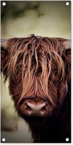Tuinposter Schotse hooglander - Licht - Portret - Natuur - 40x80 cm - Wanddecoratie Buiten - Tuinposter - Tuindoek - Schuttingposter - Tuinschilderij