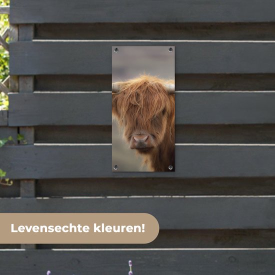 Affiche de jardin Highlander écossais - Cornes - Cheveux - 30x60 cm - Toile de jardin - Affiche extérieure