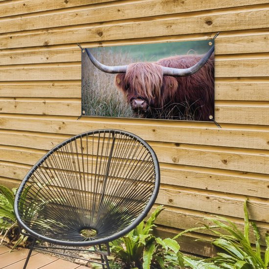 Tuinposter 80x40 cm - Tuindecoratie Schotse Hooglander - Hoorns - Gras - Poster voor in de tuin - Buiten decoratie - Schutting tuinschilderij - Tuindoek muurdecoratie - Wanddecoratie balkondoek