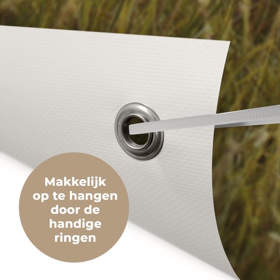 Tuinposter 200x200 cm - Tuindecoratie Schotse hooglander - Gras - Zon - Poster voor in de tuin - Buiten decoratie - Schutting tuinschilderij - Tuindoek muurdecoratie - Wanddecoratie balkondoek