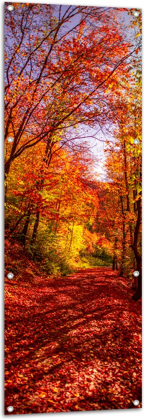 Tuinposter – Bospad Bedolven onder Rode Herfstbladeren in Herfstbos - 50x150 cm Foto op Tuinposter (wanddecoratie voor buiten en binnen)
