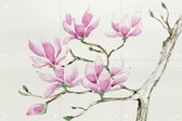 IXXI Magnolia in Bloom - Wanddecoratie - Artiesten en Schilders - 60 x 40 cm