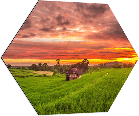 Dibond Hexagon - Zonsondergang bij de Thaise Rijstvelden - 80x69.6 cm Foto op Hexagon (Met Ophangsysteem)