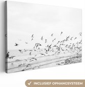 Canvas Schilderij Zee - Vogels - Natuur - Zeemeeuwen - 90x60 cm - Wanddecoratie