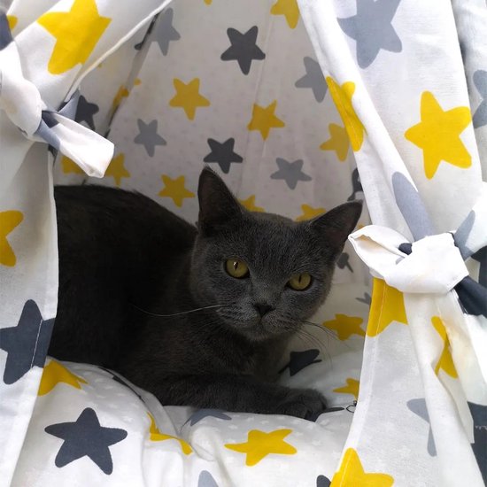 Pochon Pet - Tipi Tent met Sterretjes - Zwart/Goud/Zilver - 65 x 50 x 50 cm - Dierentent - Tent voor Huisdieren