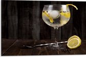 Dibond - Gin Tonic met Citroenschijfjes - 75x50 cm Foto op Aluminium (Met Ophangsysteem)