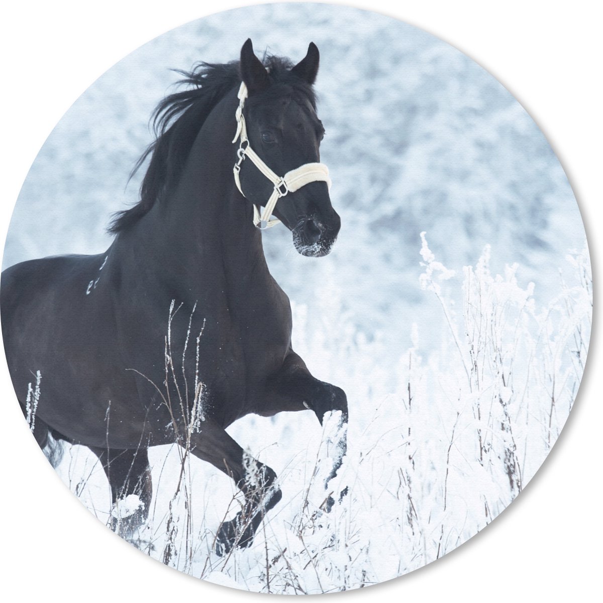 Muismat rond 40x40 cm - Mousepad Paard - Sneeuw - Winter - Ronde muismatten