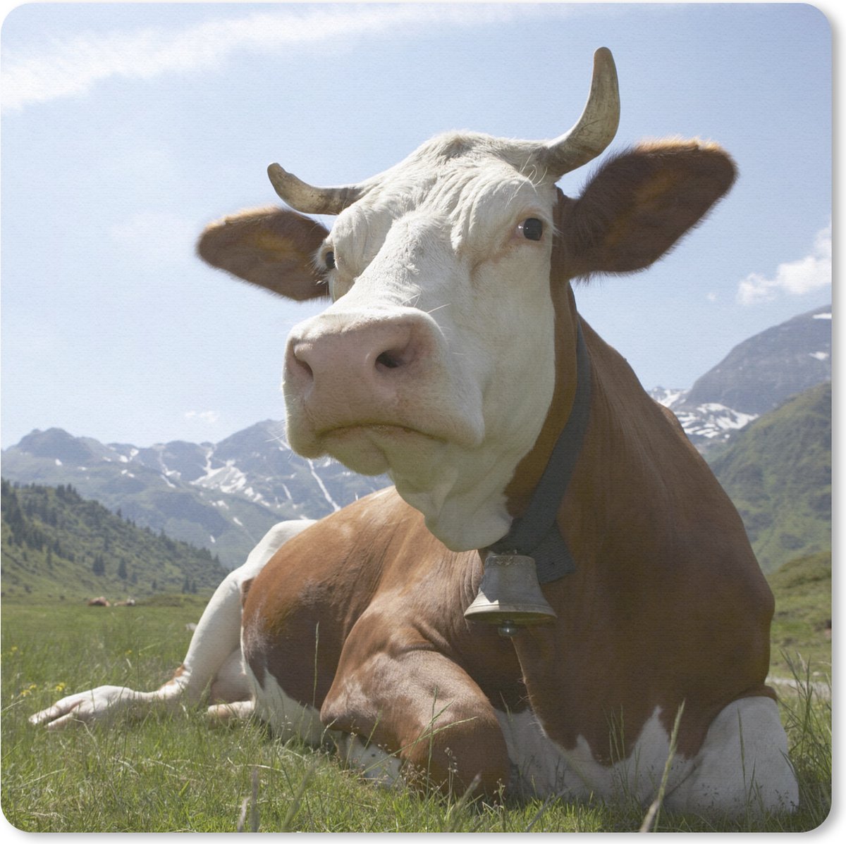 Muismat 20x20 cm - Mousepad Koe - Berg - Gras - Muismatten