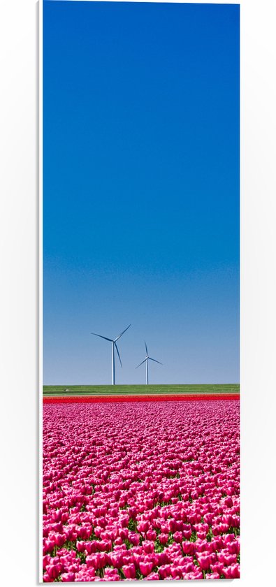PVC Schuimplaat - Bloemen - Bloemenveld - Tulpen - Landschap - Windmolens - Nederland - Kleuren - 20x60 cm Foto op PVC Schuimplaat (Met Ophangsysteem)