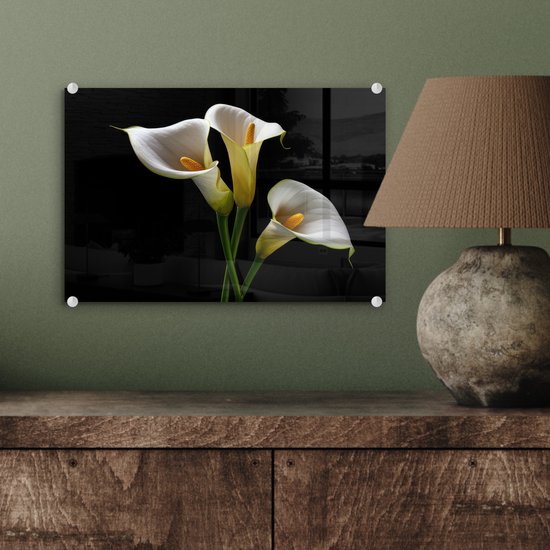 MuchoWow® Glasschilderij 30x20 cm - Schilderij acrylglas - Planten - Bloemen - Wit - Natuur - Botanisch - Foto op glas - Schilderijen