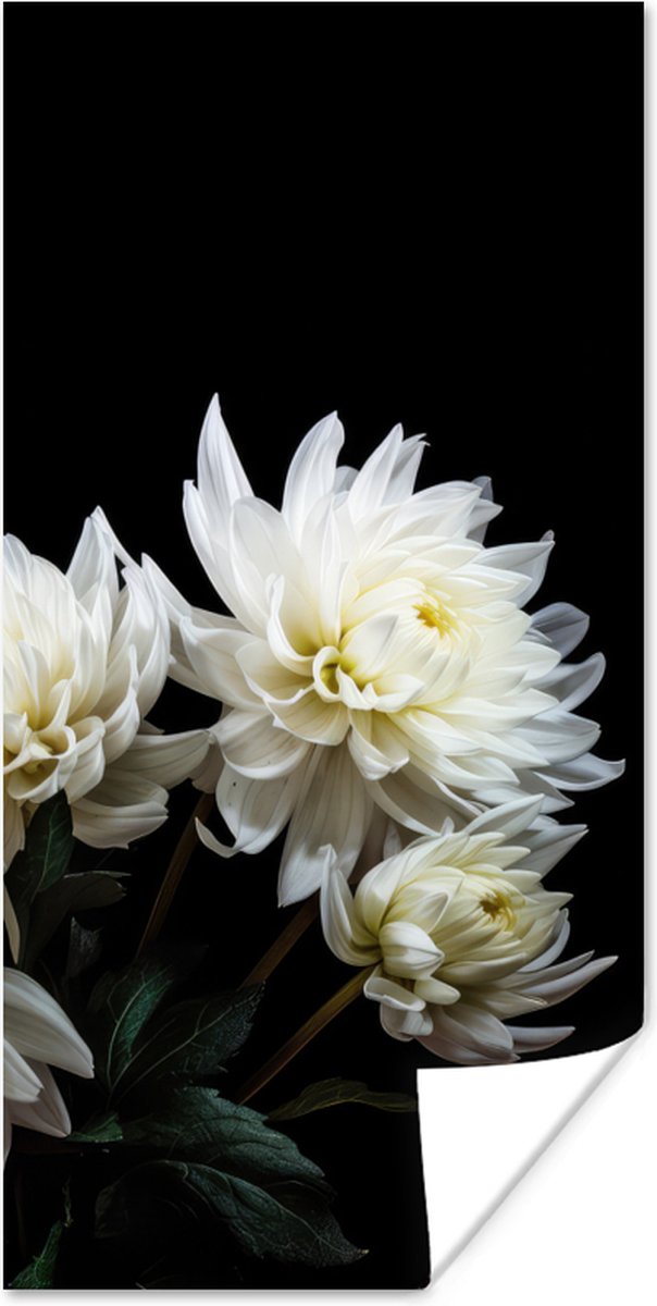 Poster Bloemen - Chrysant - Wit - Natuur - Botanisch - 80x160 cm