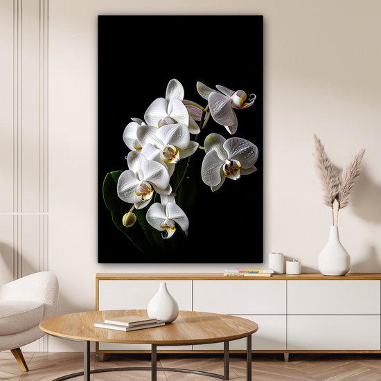 Tableau sur toile Orchidée - Fleurs - Wit - Nature - Zwart - 80x120 cm - Décoration murale