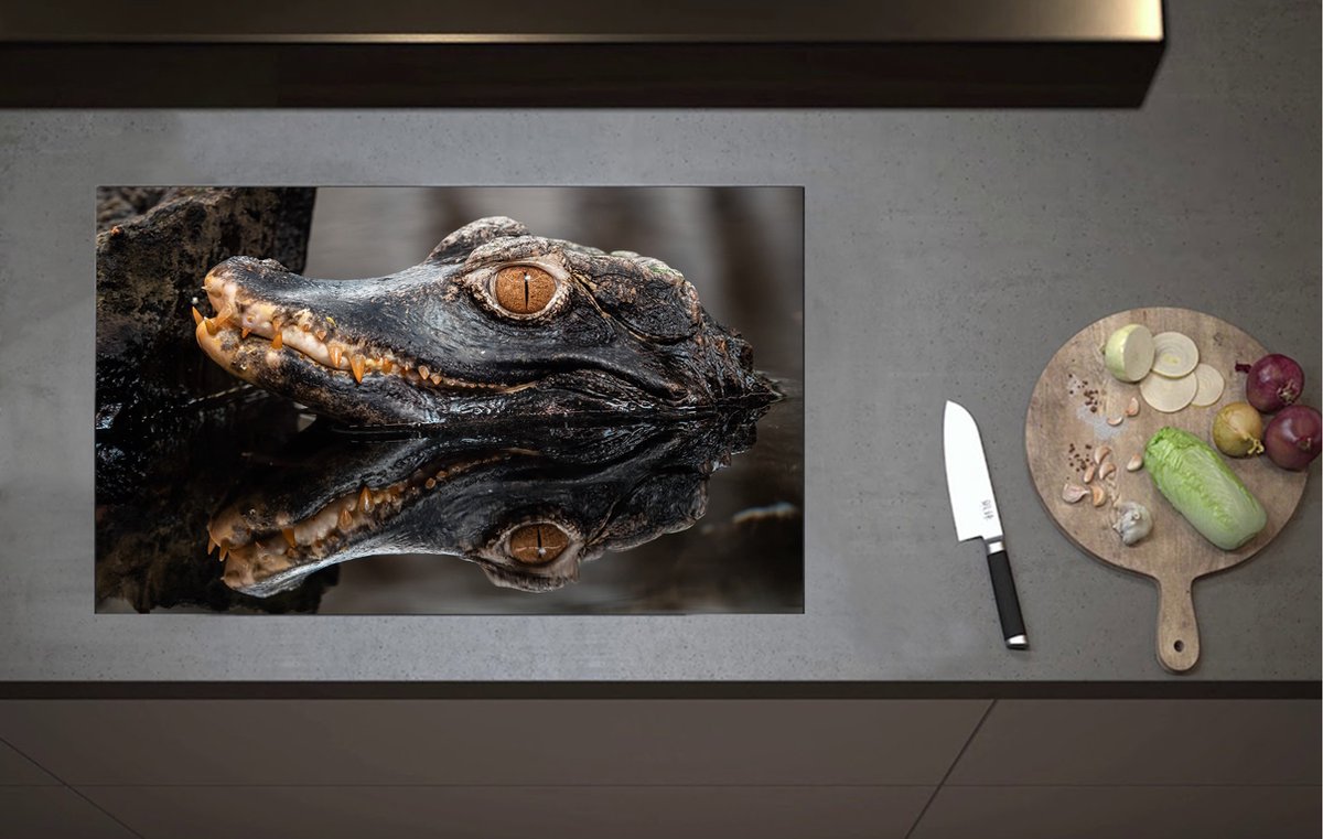 Inductieplaat Beschermer - Alligator Kop boven het Wateroppervlak - 80x52 cm - 2 mm Dik - Inductie Beschermer van Vinyl