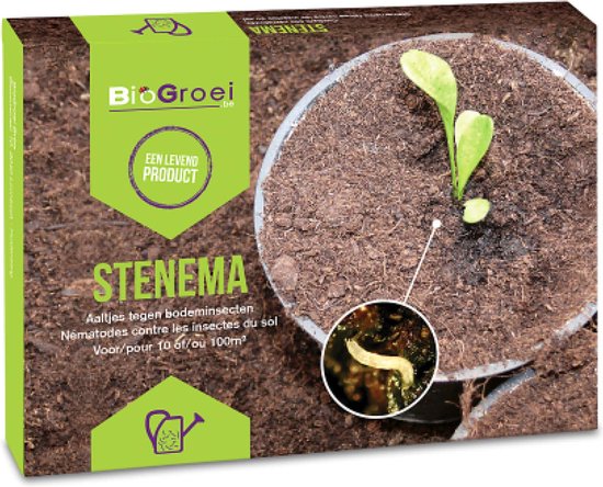 Stenema 10m² - Nématodes contre les larves des mouches sciarides