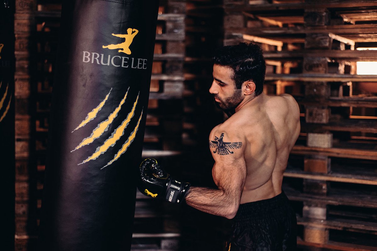 Sac de frappe Bruce Lee professionnel pour salle de boxe 70 à 180 cm