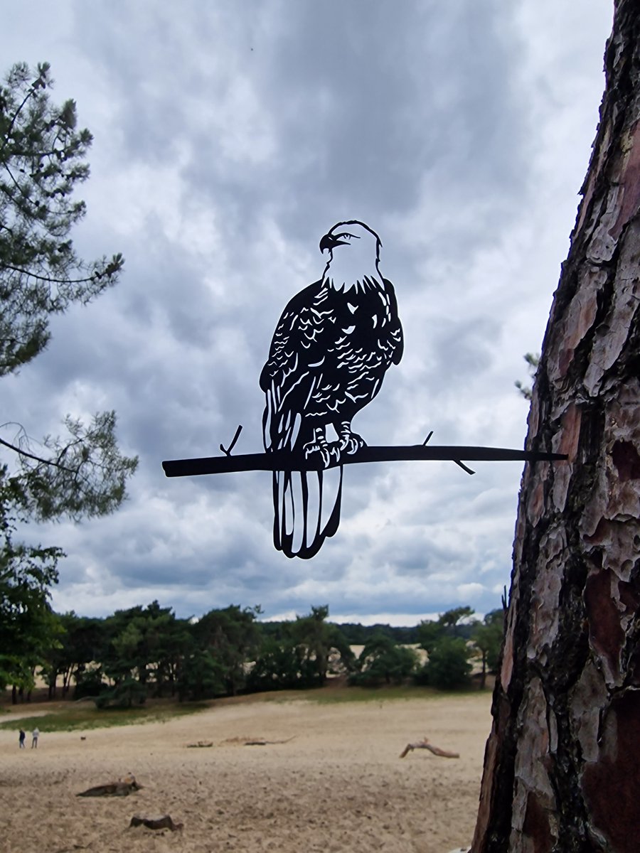 Metalen Boom Prikker - Boom Steker - Kleine Adelaar - Little Eagle - Metalen Vogel - Tuin Vogel - Tuin Hanger - Tuindecoratie - Metal Bird - Garden Ornament