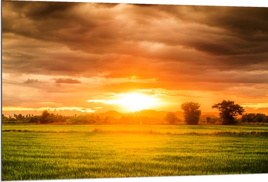 Dibond - Felle Zonnestralen over Groen Gras in Landschap - 120x80 cm Foto op Aluminium (Met Ophangsysteem)