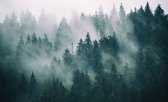 Papier peint photo Forêt dans la brume - Papier peint non tissé - 405 x 270 cm