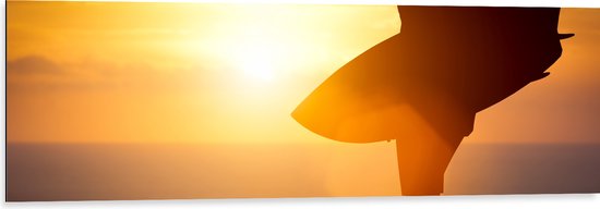 Dibond - Silhouet van Persoon met Surfplank - 120x40 cm Foto op Aluminium (Met Ophangsysteem)