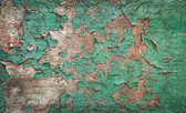 Painted  Texture Green Photo Wallcovering