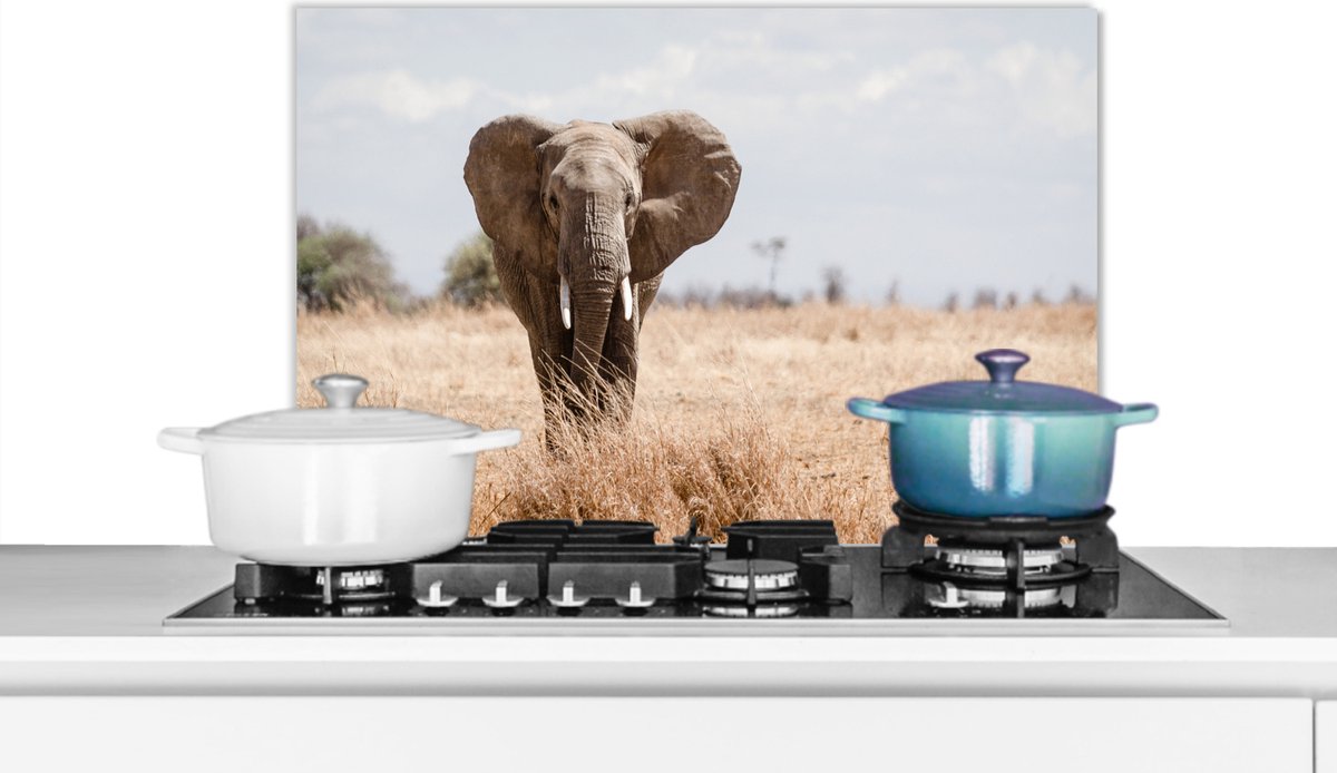 Spatscherm keuken 70x50 cm - Kookplaat achterwand Olifant - Natuur - Dieren - Portret - Muurbeschermer - Spatwand fornuis - Hoogwaardig aluminium
