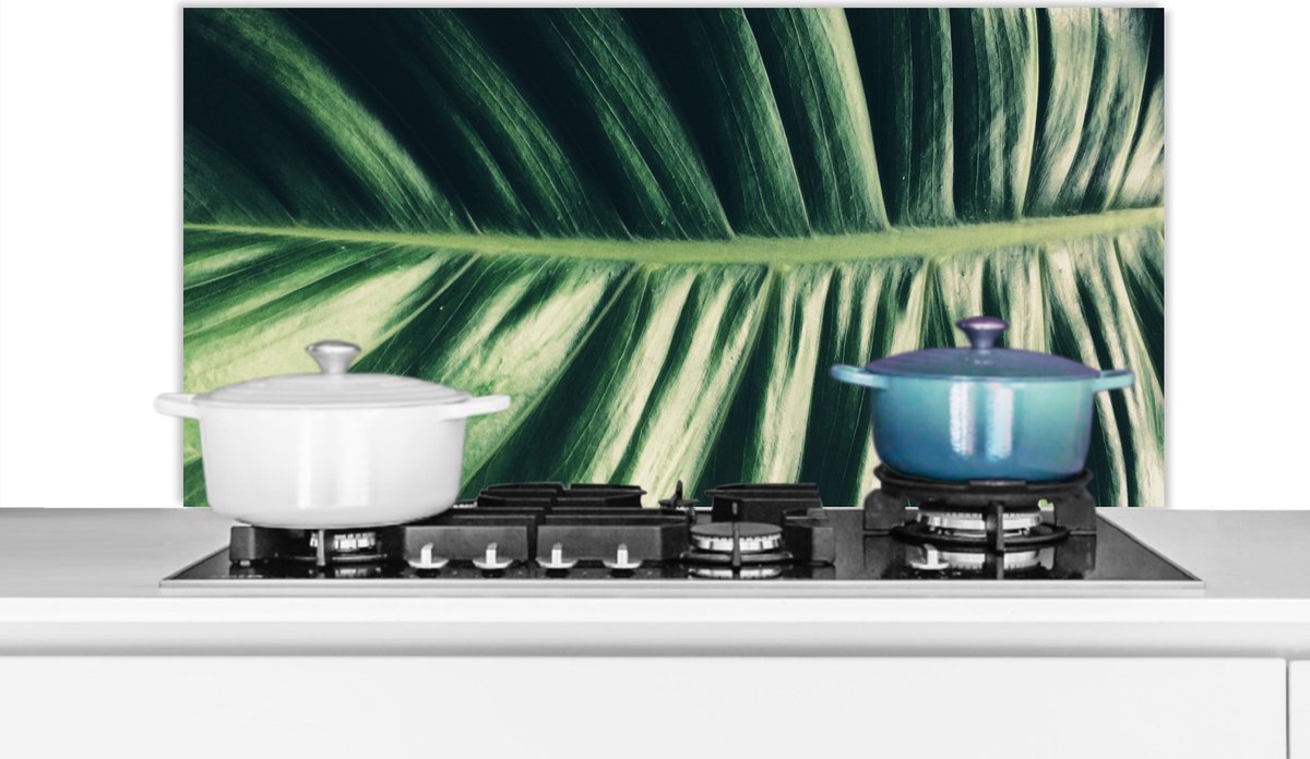Spatscherm - Bladeren - Jungle - Tropical - Design - Natuur - Spatwand - 100x50 cm - Achterwand