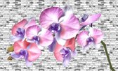 Flowers Orchids Texture Photo Wallcovering