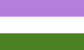 Genderqueer Pride Vlag 150x225cm