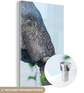 MuchoWow® Glasschilderij 80x120 cm - Schilderij acrylglas - Olifant - Dieren - Grijs - Natuur - Foto op glas - Schilderijen