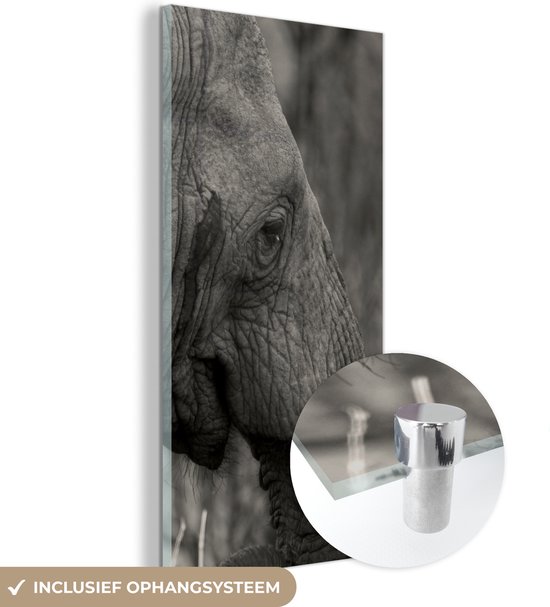 MuchoWow® Glasschilderij 60x120 cm - Schilderij acrylglas - Olifant - Dieren - Zwart - Wit - Foto op glas - Schilderijen