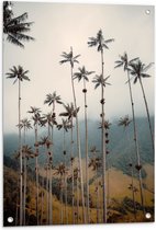 Tuinposter – Bergen - Bomen - Palmbomen - Bosjes - 60x90 cm Foto op Tuinposter (wanddecoratie voor buiten en binnen)