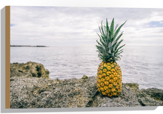 Hout - Ananas - Rotsen - Zee - Golven - 60x40 cm - 9 mm dik - Foto op Hout (Met Ophangsysteem)