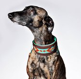 DWAM Halsband hond – Hondenhalsband – Windhond - Turquoise – Leer – L – 31-38 x 6 cm – Paddy Lee