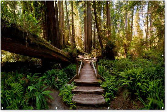 Muurdecoratie Jungle - Natuur - Trap - Bomen - 180x120 cm - Tuinposter - Tuindoek - Buitenposter Muurdecoratie Jungle - Natuur - Trap - Bomen - 180x120 cm - Tuinposter